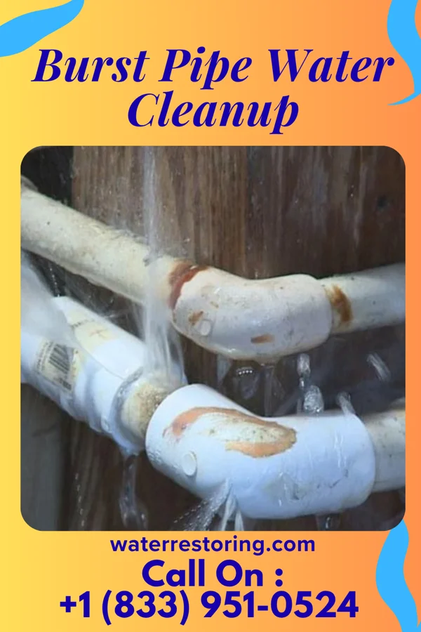 Burst Pipe Water Cleanup in Independence, WI