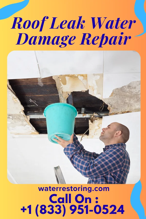 Roof Leak Water Damage Repair in Independence, WI