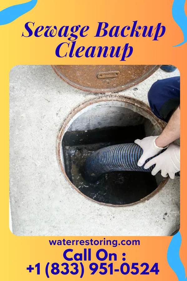 Sewage Backup Cleanup in Independence, WI