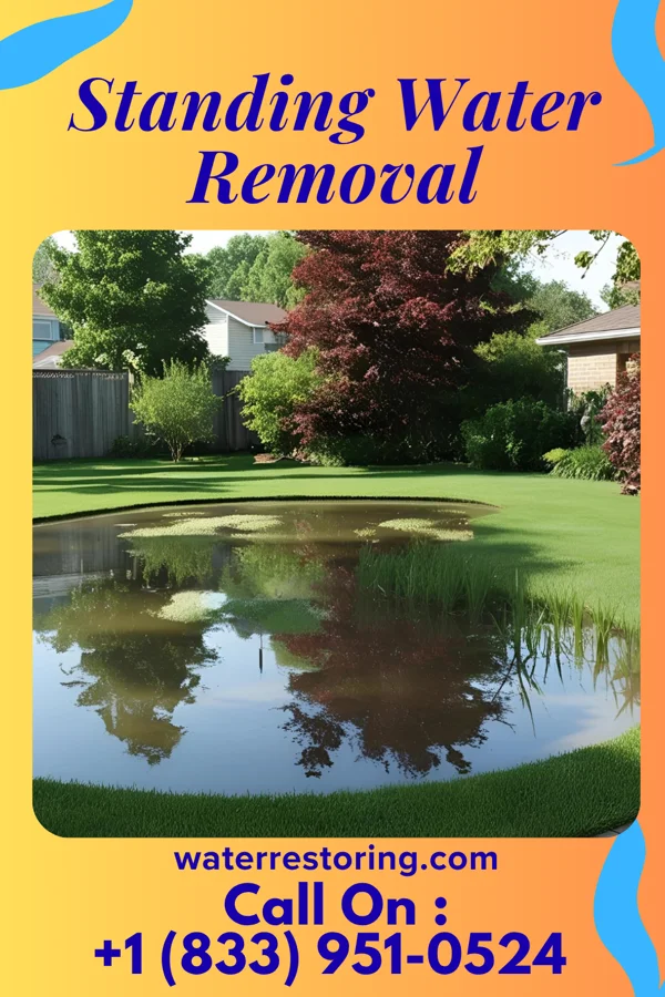 Standing Water Removal in Independence, WI